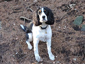 January 2017 Photo 3